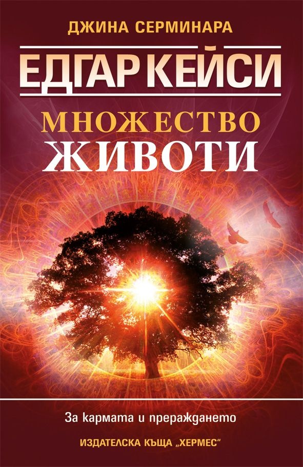 183768_b.jpg